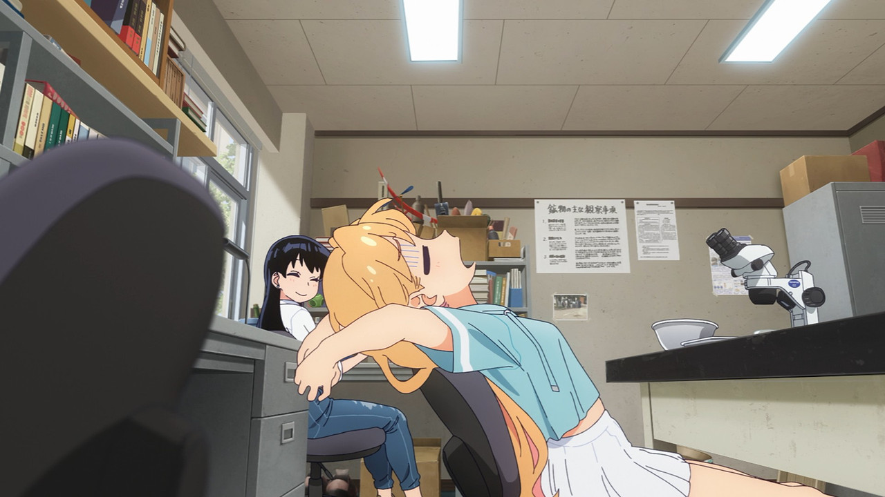 cap_[SubsPlease] Ruri no Houseki - 04 (1080p) [53C196F8]_00_12_37_12