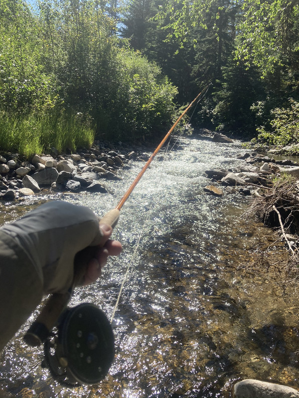 96143E15-68A7-4703-9CD8-E599EA9F93FD