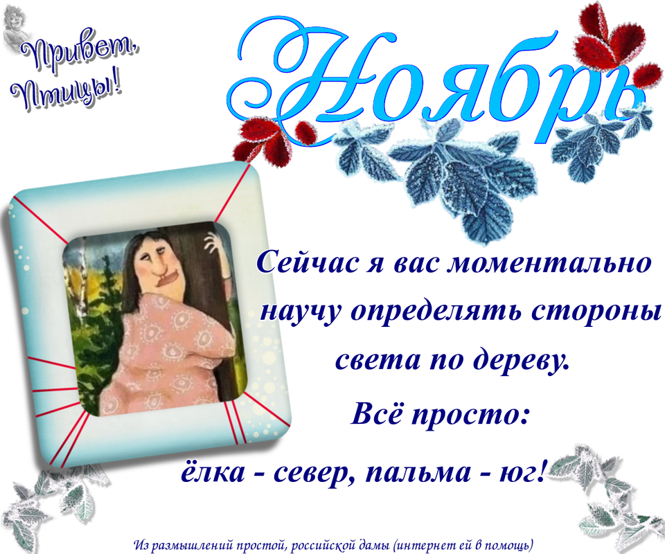 https://i.postimg.cc/8CWc91XJ/22-11.png