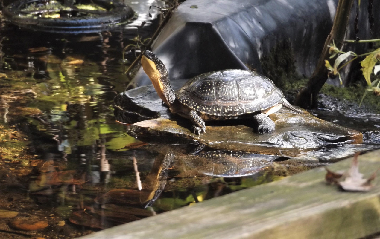 DSCF7919-2.jpg