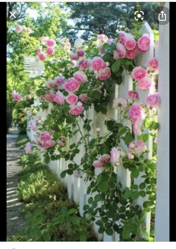 AB649000-40D3-431B-AD88-0746A71340D9