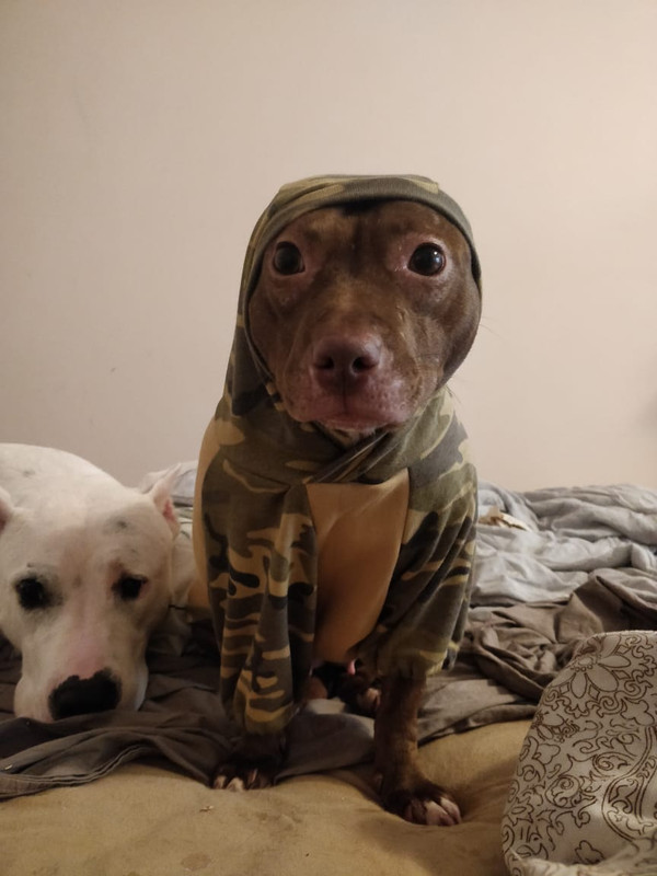 80CF1FEB-3E3C-466F-BDED-FD1831A9CF87