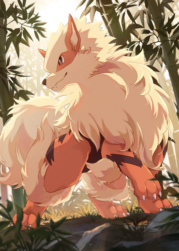 arcanine-pokemon-drawn-by-kechon-san-sam