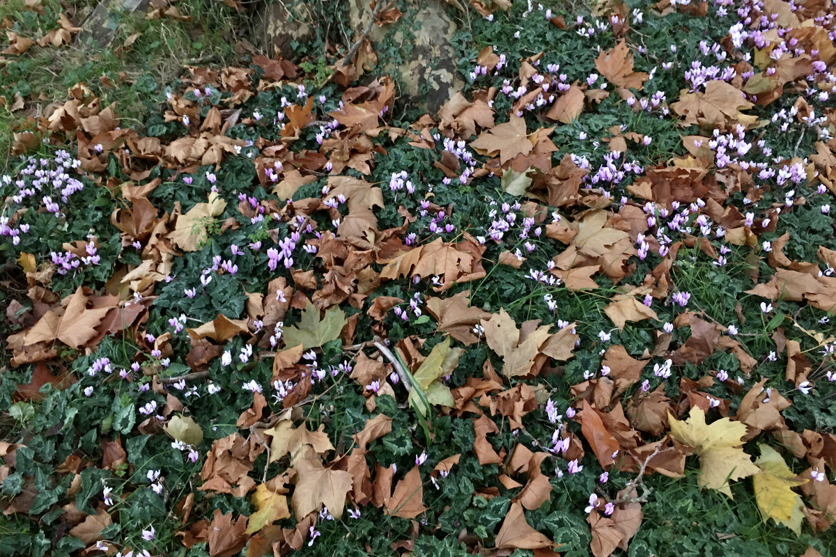 FBEDD9B6-FD18-46C4-96E3-B6EB0AB9419F