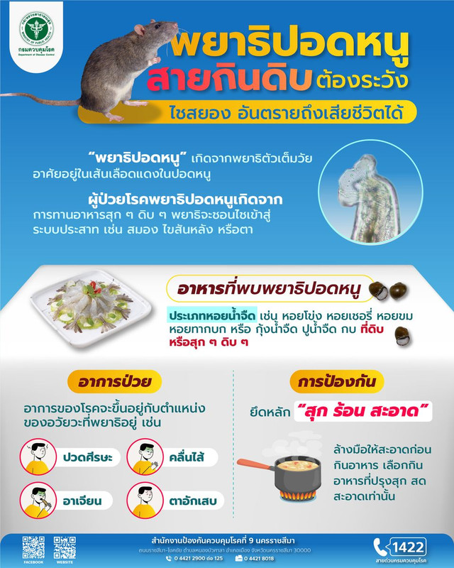 ระวังอันตรายจากพยาธิปอดหนู สคร.9 นครราชสีมา ห่วงใยประชาชน คนที่ชอบกินดิบ