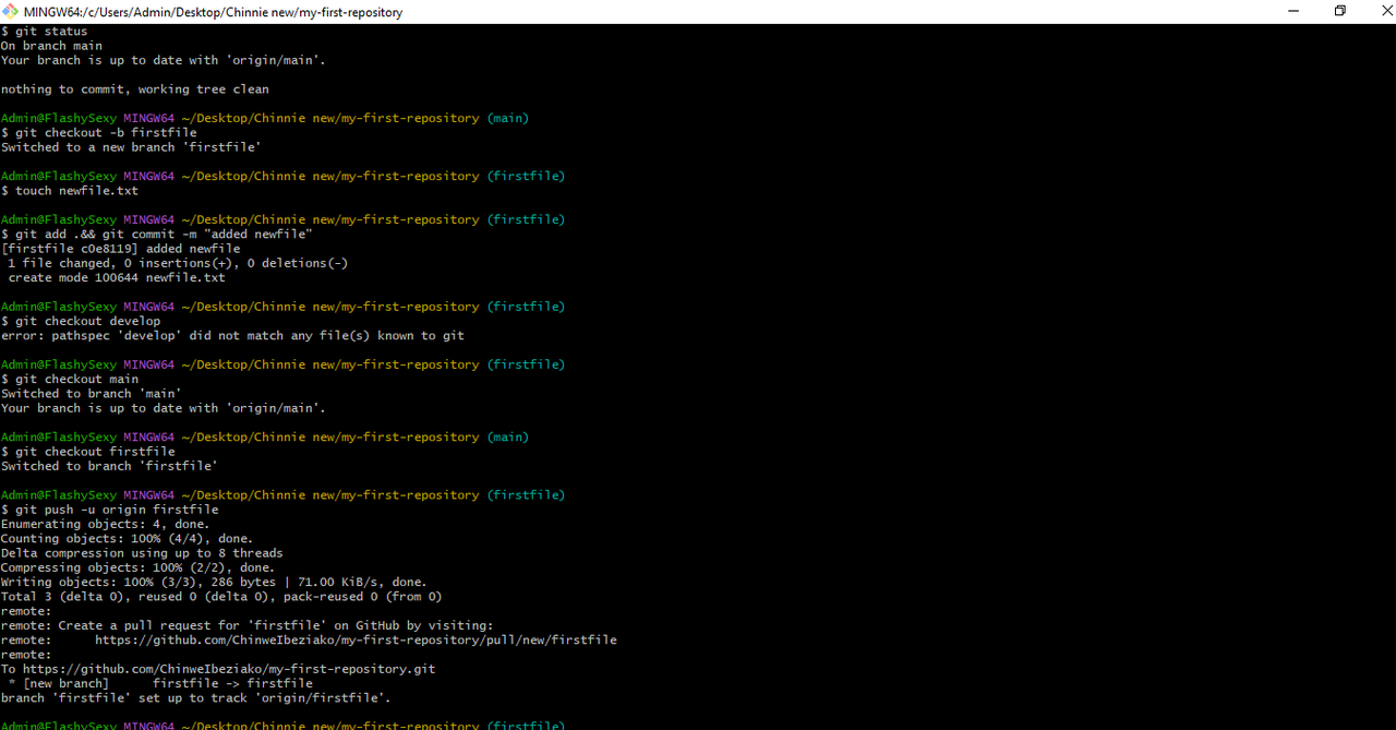 MINGW64-c-Users-Admin-Desktop-Chinnie-new-my-first-repository-10-07-2024-1-56-54-PM