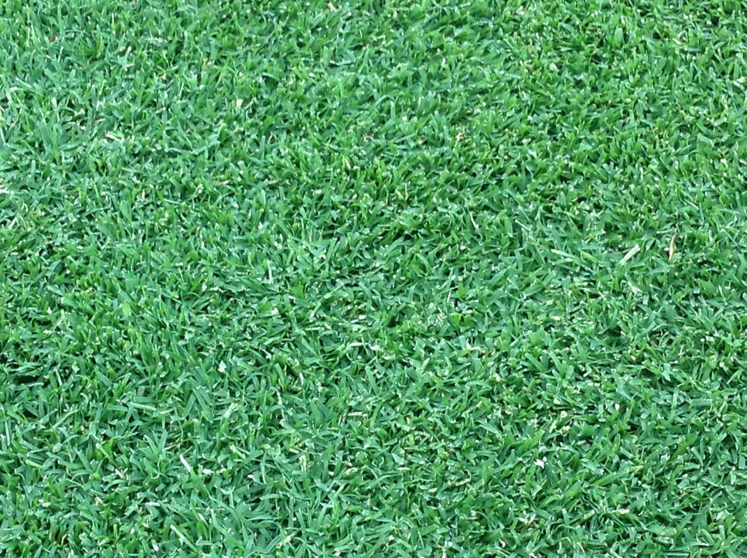 Photo 22-01-2014 20 13 11