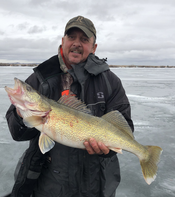 Shawn's 9 lb. walleye