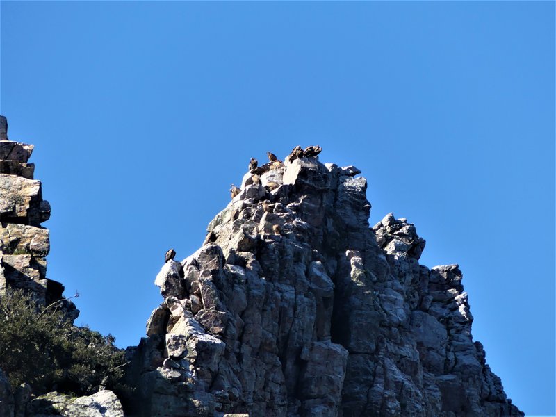 PARQUE NACIONAL DE MONFRAGÜE-2020/2023 - EXTREMADURA Y SUS PUEBLOS -2010-2023 (91)