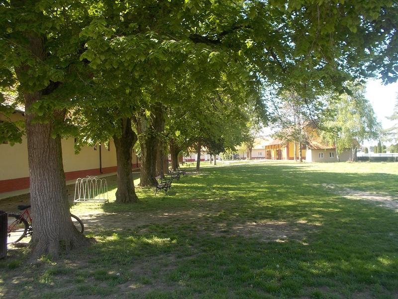 Slika