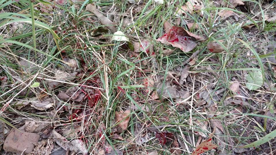 BF3B849C-F072-415B-91BB-C4DB105C6BF3