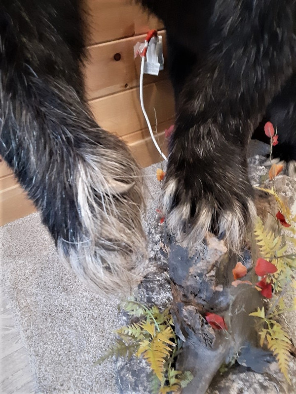 Resized_20210605_122920(1)