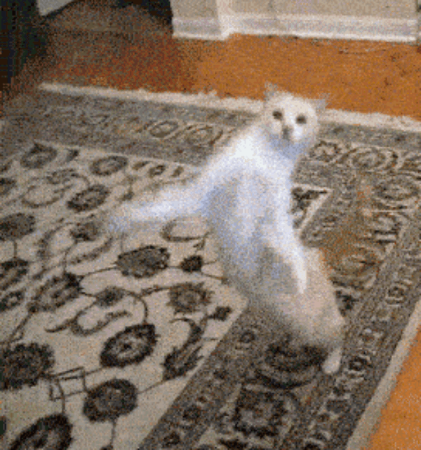 75.gif