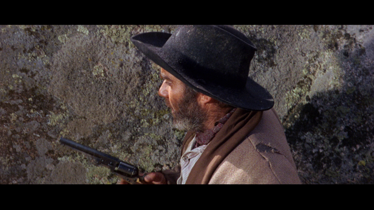 vlcsnap-2023-03-20-14h43m49s975