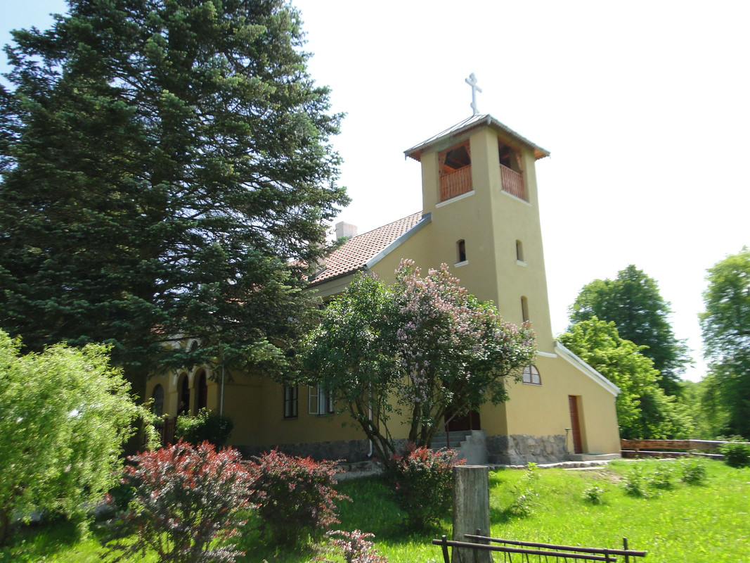 00 - DSC03883 (Mysikrólik)