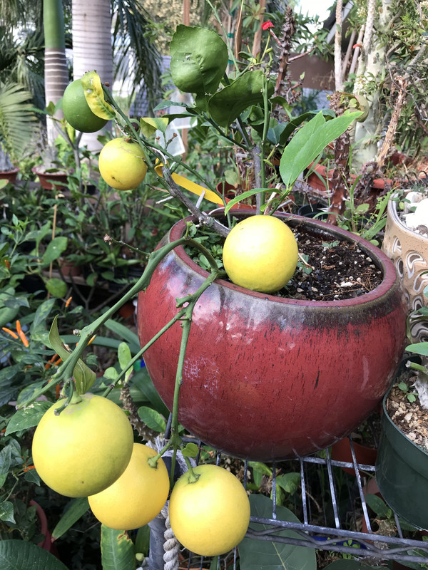 090D7E87-B5DB-4B00-8ACA-FD25543EE418