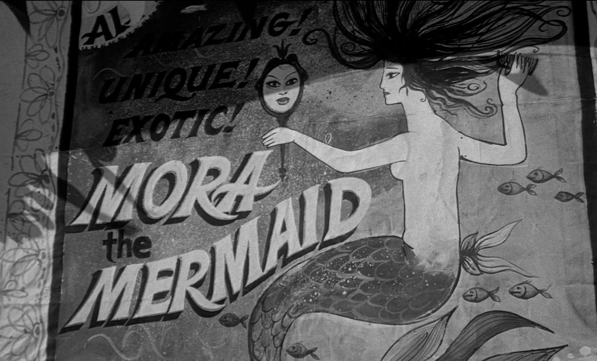 vlcsnap-2022-02-08-14h33m41s814