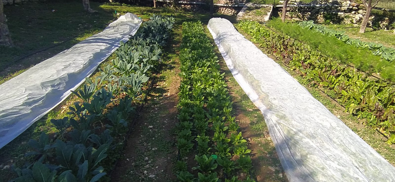 WhatsApp Image 2020-11-02 at 12.48.43 (1)