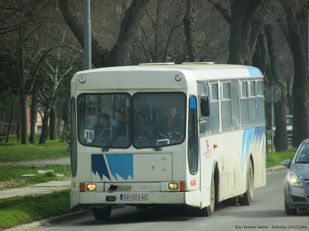 IMG_1835 A
