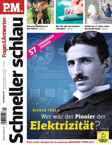 Cover: P M  Fragen und Antworten Magazin No 11 2023