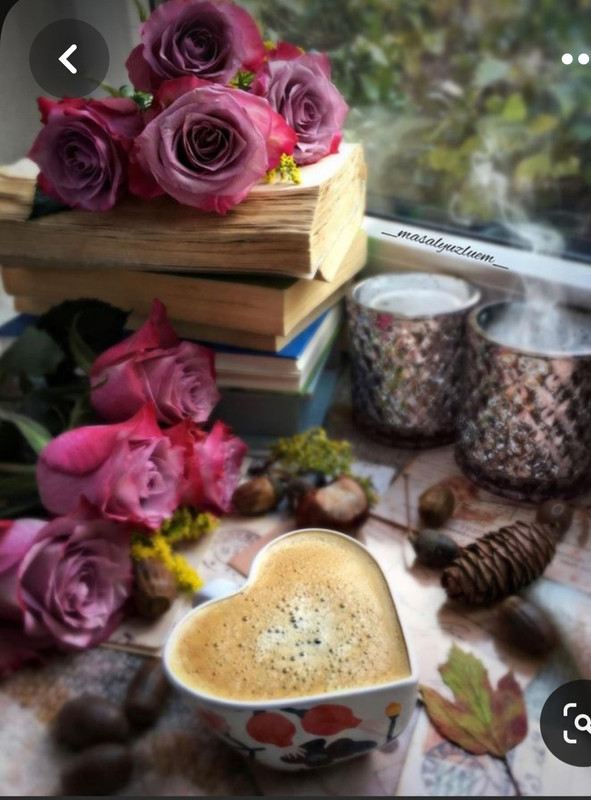 Screenshot_20230517_003252_Pinterest