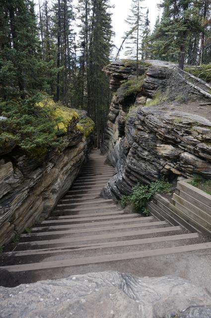 Vancouver y Rocosas Low Cost: Dos semanas por lo mejor de Canadá - Blogs de Canada - Día 5: Alredeores de Jasper y parte norte de la Icefields Parkway (6)