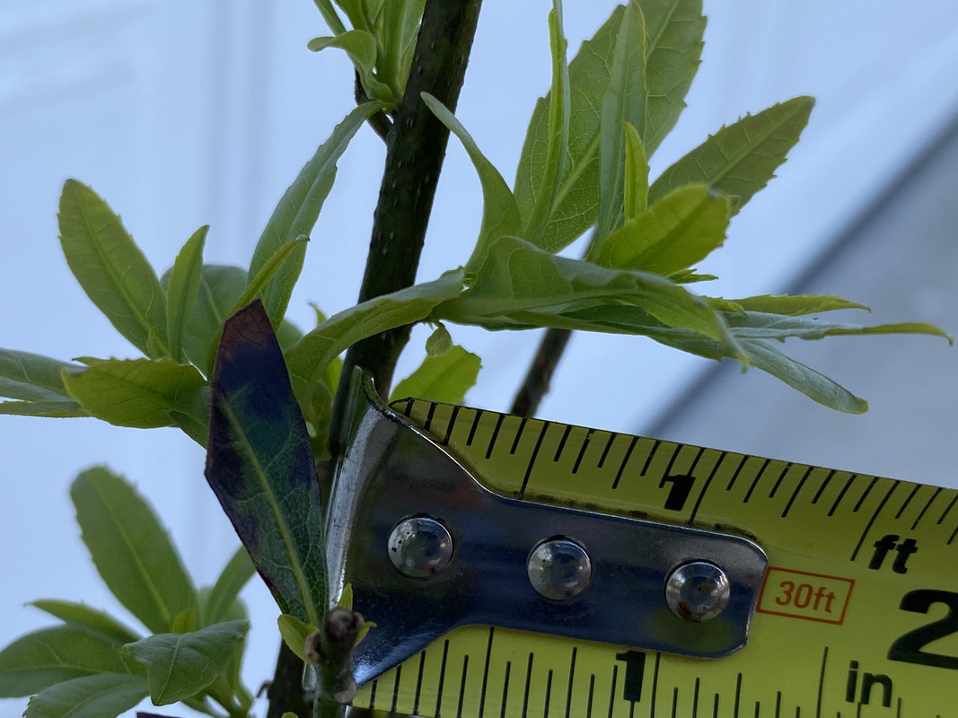 3D98B216-964D-4AA2-A803-1668F4E47314