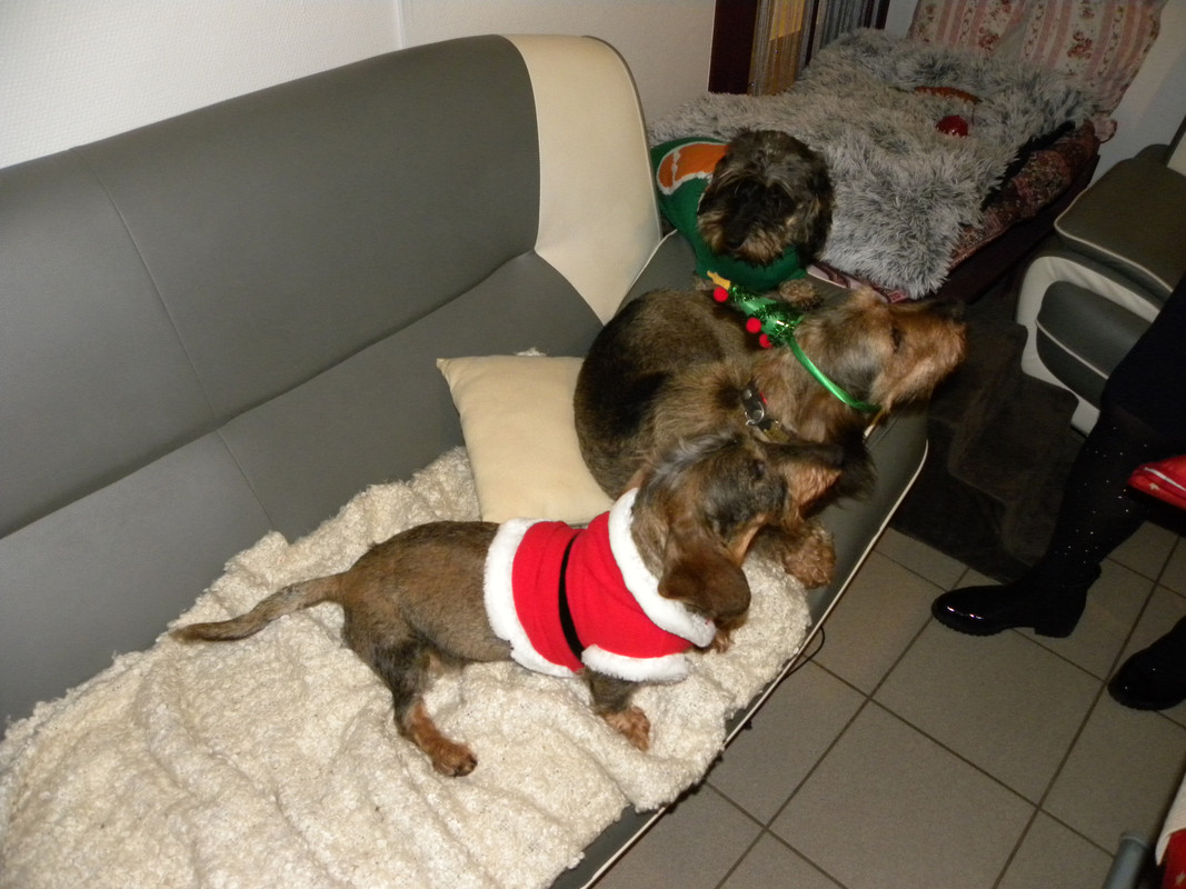 [Image: DSCN9703.jpg]