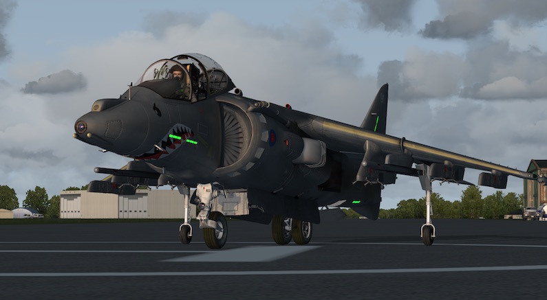 harrier1.jpg