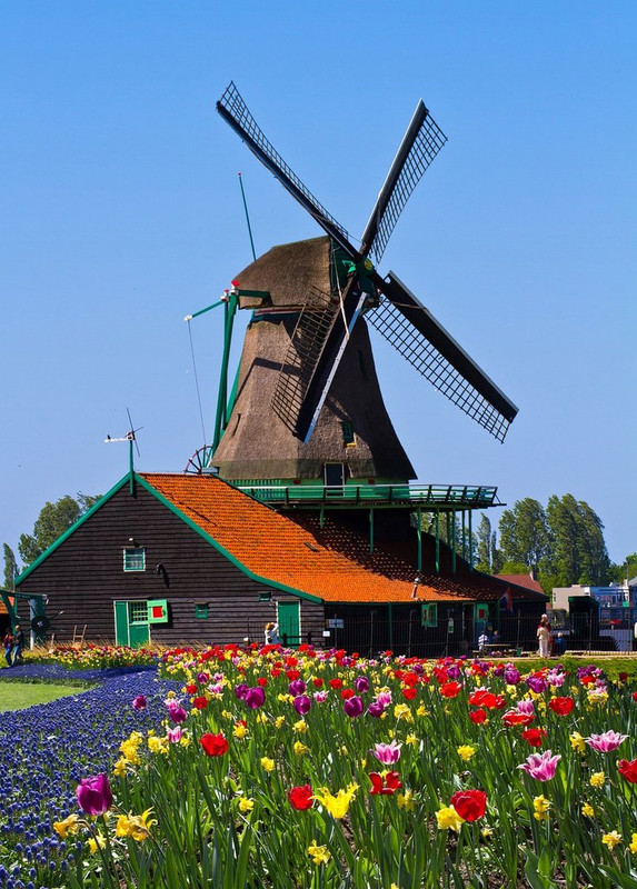 multi-windmill-858143-1280.jpg