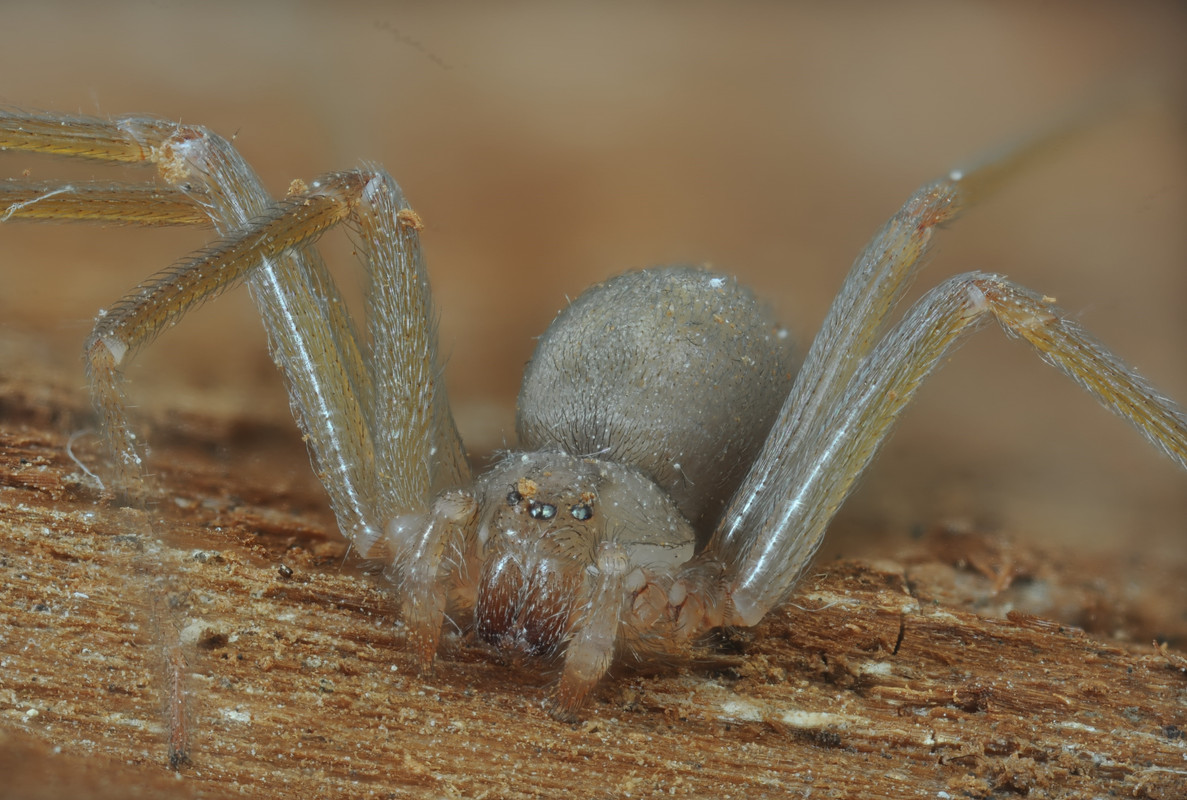 2023-08-30 17-56-28 (C,Smoothing9)-min