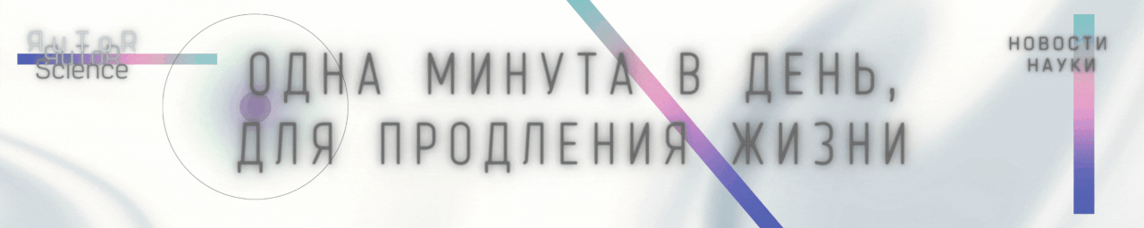 NN-1.gif