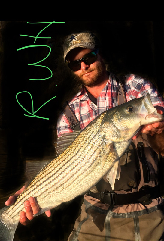 A8B534AA-918D-4619-B34F-3D4648F6698B