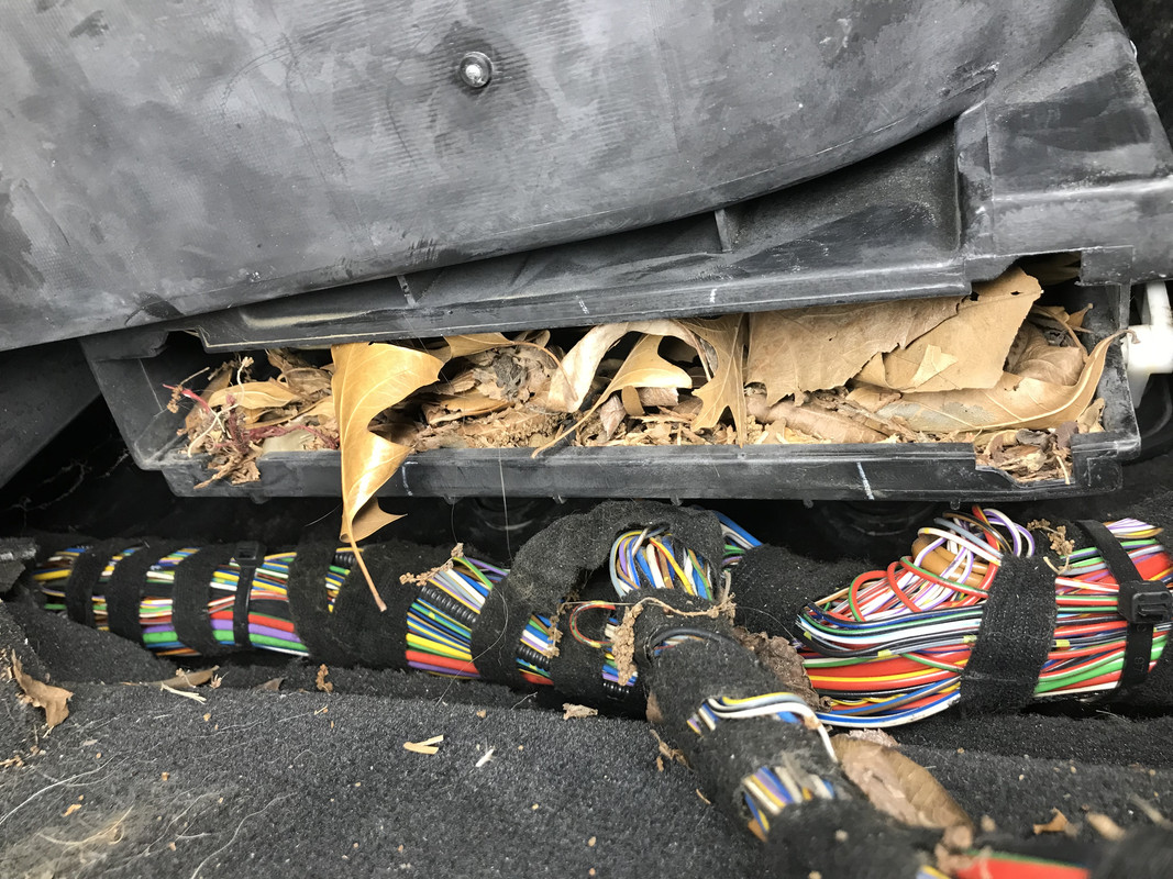 E269D57F-74DF-4EFD-9FB8-5CAF24F75499