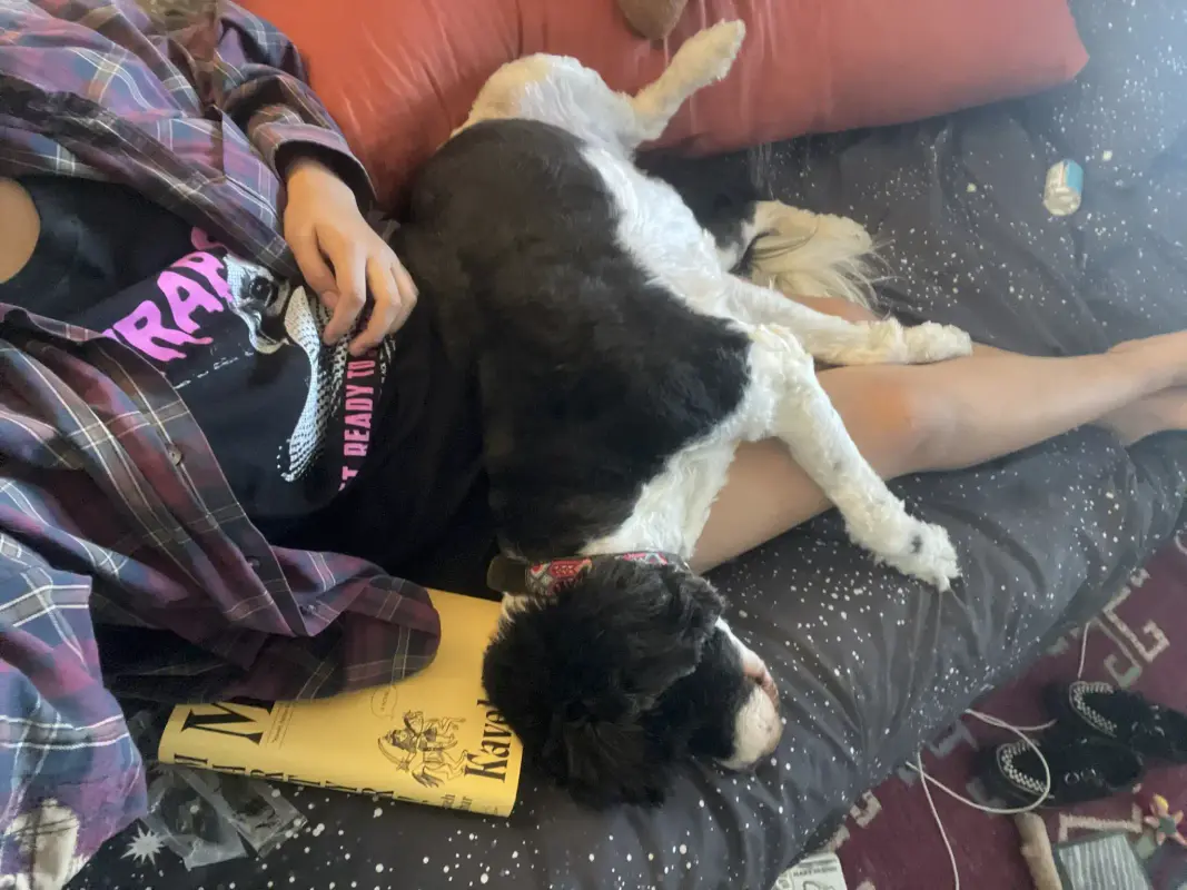 a body selfie of me with my dog laying across my lap and the book martyr! by my side. i'm wearing a flannel, shorts, and a trap girl t-shirt.