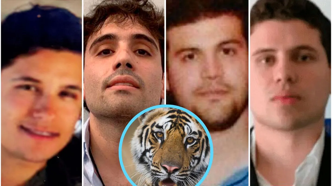 Con tigres, Los 'Chapitos' torturaban a sus enemigos