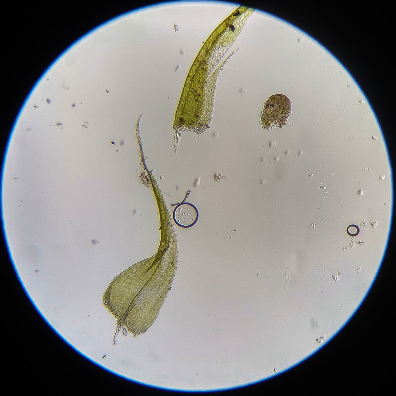 IMG 20250614 122738 HDR