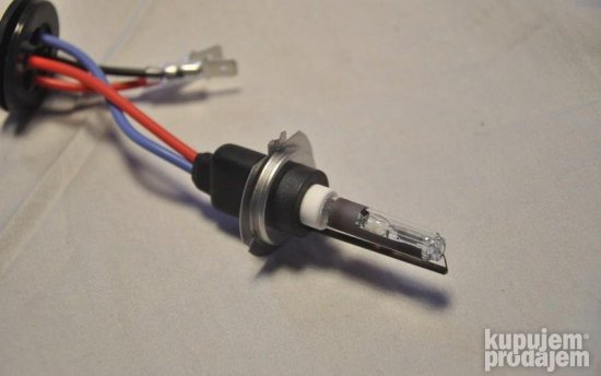 big-90902849_5e4674a93b1cd1-49066436H7R-1