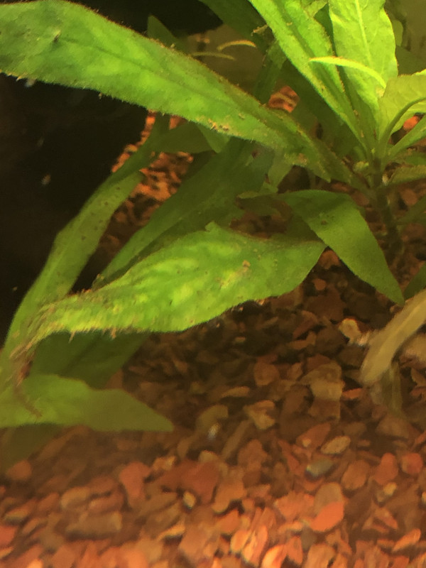 5E0B1241-D7D5-4DC6-AC0F-63449CF041D7