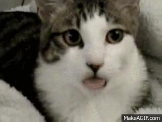 MQ9X6b.gif