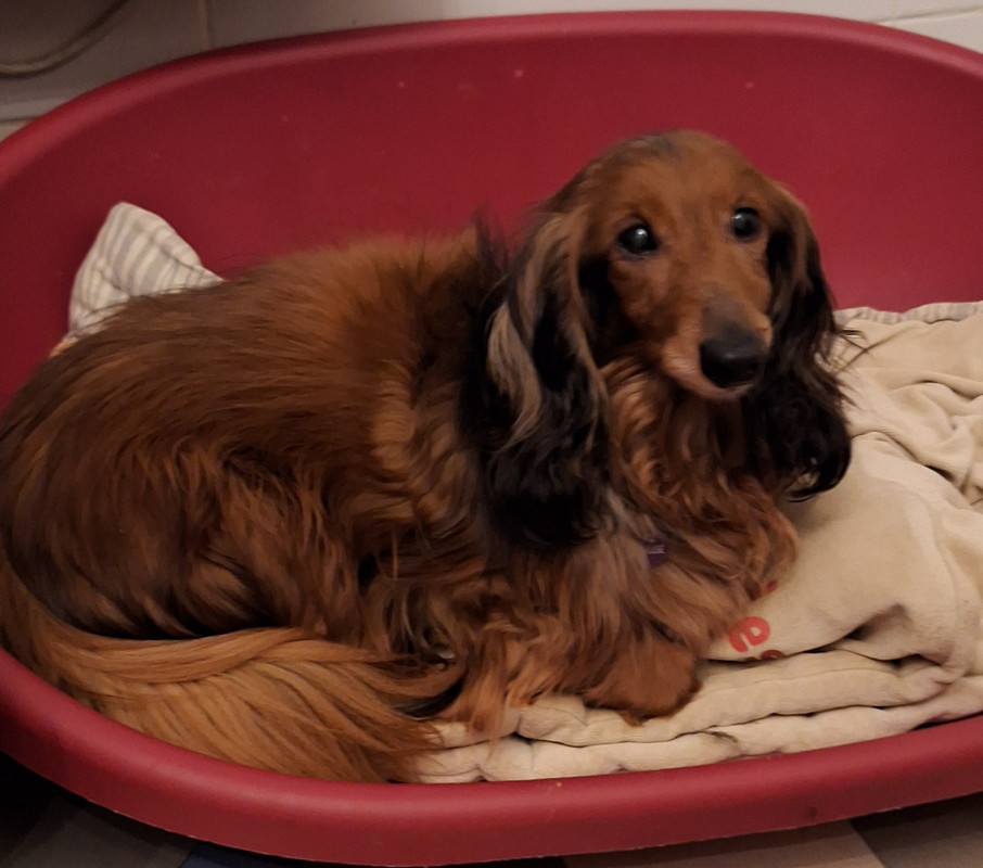 [Image: 20250209-195603.jpg]