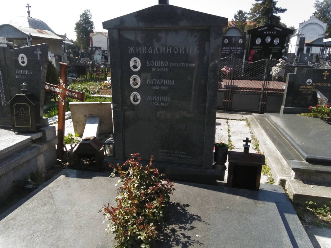 [Слика: 68732-C81-EFF1-4466-9-E72-949-B93-EF6-F6-F.jpg]