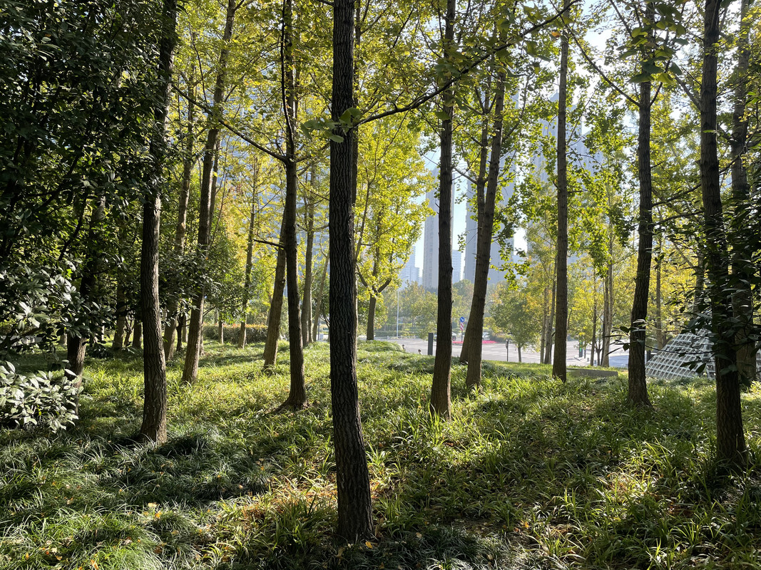 4014FB5D-FAFF-4883-97F9-2832E157EDA6