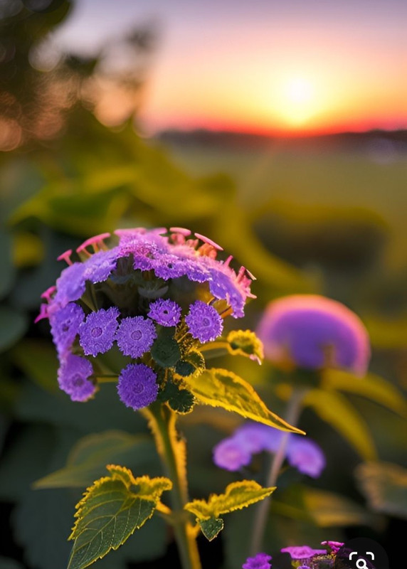 Screenshot_20230622_000918_Pinterest