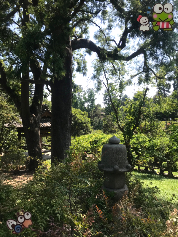 Japanese Garden at the Huntington 