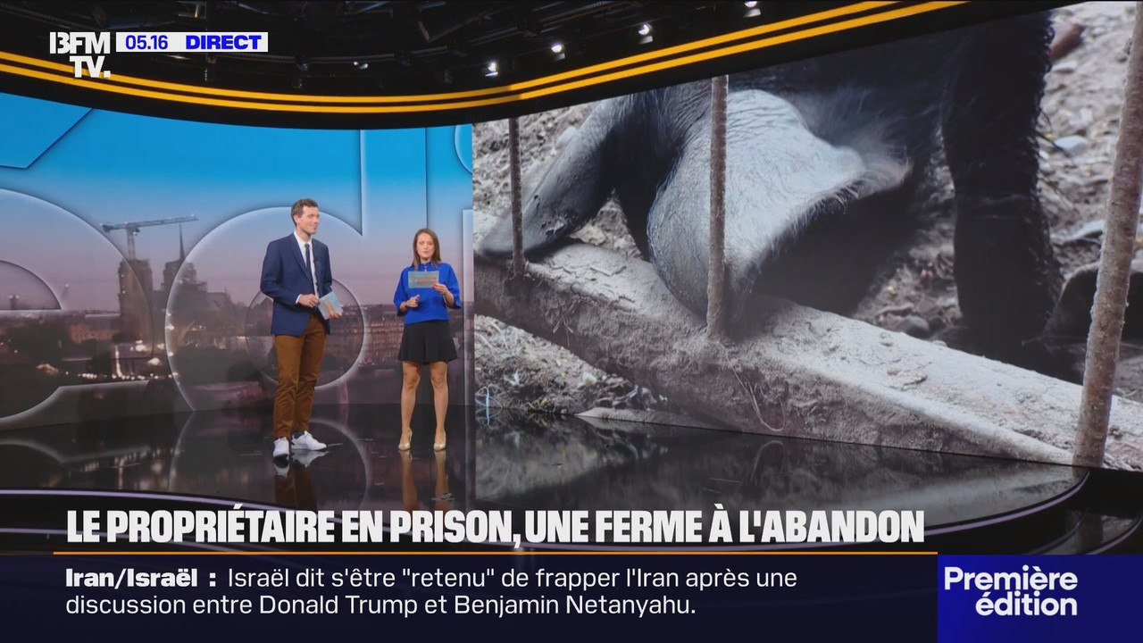 Première édition (BFMTV)_2025_06_25_03_25_88.ts_snapshot_00.52.05.361
