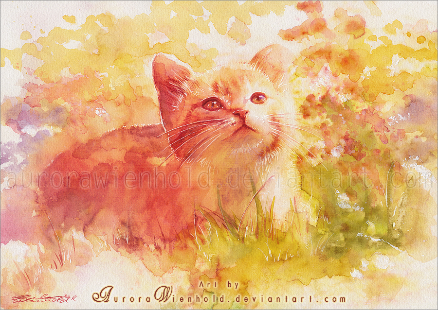 32-sun-kissed-by-aurorawienhold-d5q6zyr