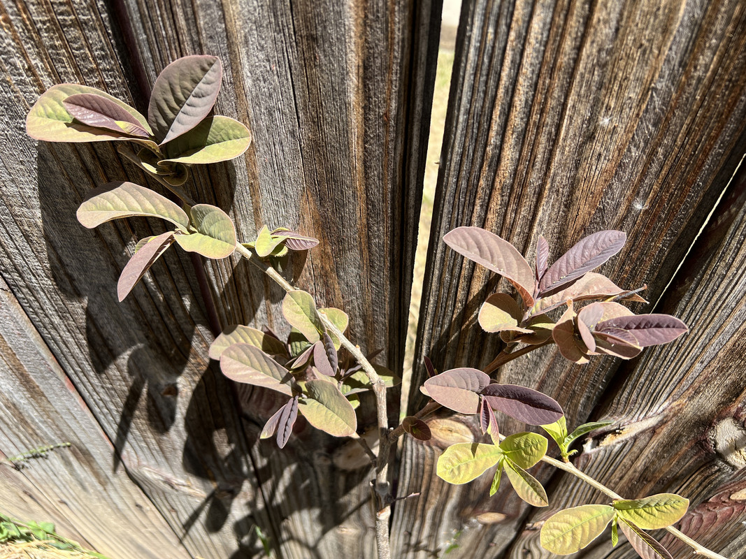 27D69965-F333-4E07-ADF0-A120D852DBBA