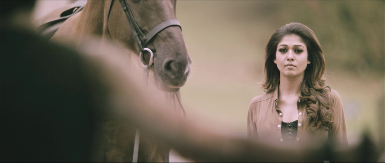 vlcsnap-2024-12-19-21h14m35s546