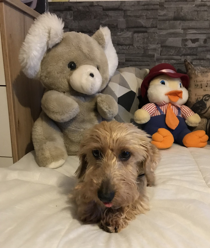 [Image: IMG-1537.jpg]